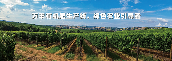 有機(jī)肥生產(chǎn)線子站baaner-3.png